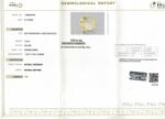 7.24 carats Yellow Sapphire ( 7.25 ratti ) - Image 8