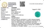 6.97 carats Emerald (7.25 ratti) - Image 9