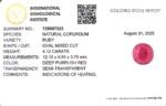 4.12 carats Ruby (4.25 ratti) - Image 7
