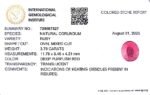 3.79 carats Ruby (4.25 ratti) - Image 8