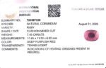 7.45 carats Ruby (8.25 ratti) - Image 8