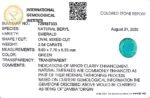 2.54 carats Emerald (2.25 ratti) - Image 13