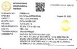 3.29 carats Yellow Sapphire ( 3.25 ratti ) - Image 9