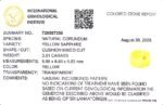 3.91 carats Yellow Sapphire ( 4.25 ratti ) - Image 9