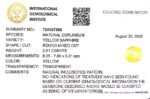2.91 carats Yellow Sapphire ( 3.25 ratti ) - Image 9