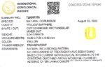 5.54 carats Yellow Sapphire ( 6.25 ratti ) - Image 9