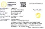 5.04 carats Yellow Sapphire ( 5.25 ratti ) - Image 10