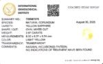2.97 carats Yellow Sapphire ( 3.25 ratti ) - Image 9