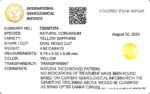 4.92 carats Yellow Sapphire ( 5.25 ratti ) - Image 8