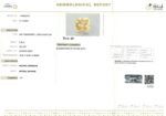 6.50 carats Yellow Sapphire ( 7.25 ratti ) - Image 9