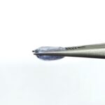 5.26 carats Blue Sapphire (5.25 ratti Neelam) - Image 4