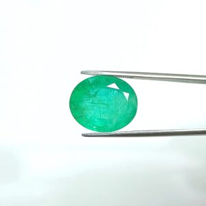 8.73 carats Emerald (9.25 ratti)