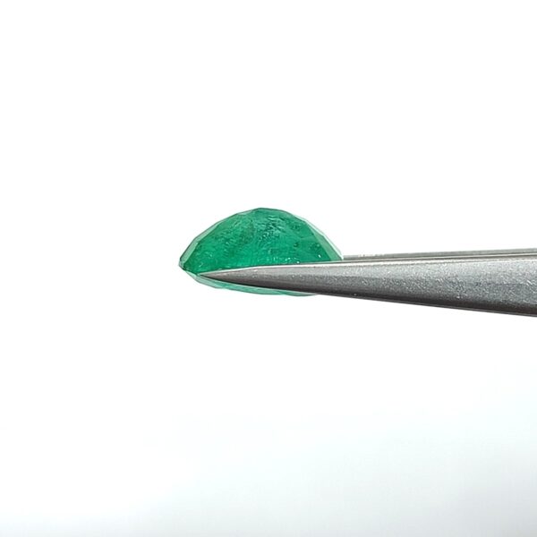 8.73 carats Emerald (9.25 ratti) - Image 7