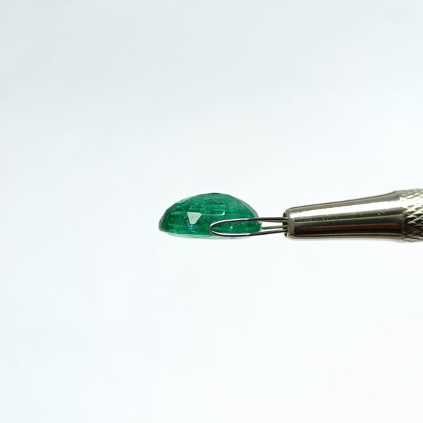 6.55 carats Emerald (7.25 ratti) - Image 8