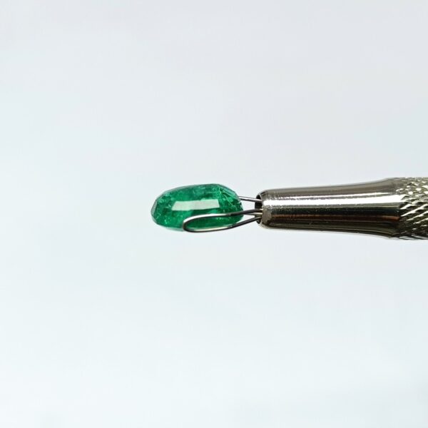 2.89 carats Emerald (3.25 ratti) - Image 9