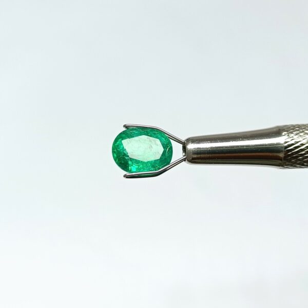 3.16 carats Emerald (3.25 ratti) - Image 9