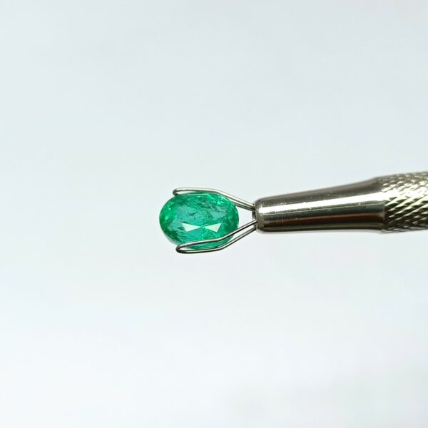 3.16 carats Emerald (3.25 ratti) - Image 2