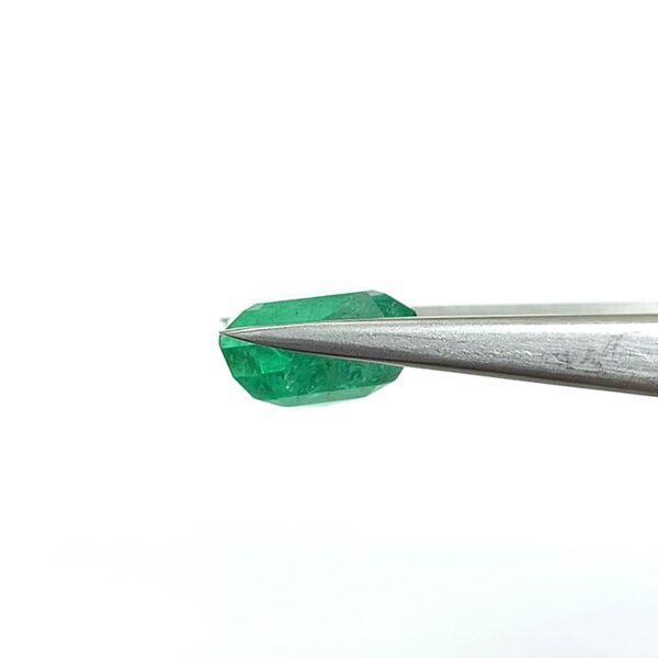 8.05 carats Emerald (9.25 ratti) - Image 4