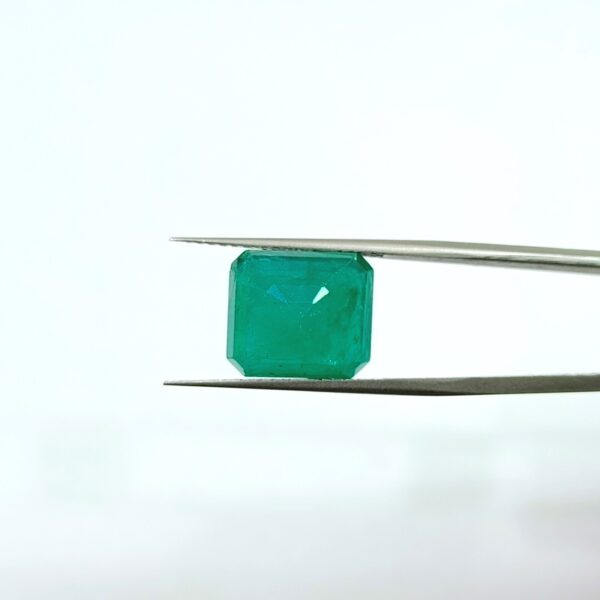 10.05 carats Emerald (11.25 ratti) - Image 4