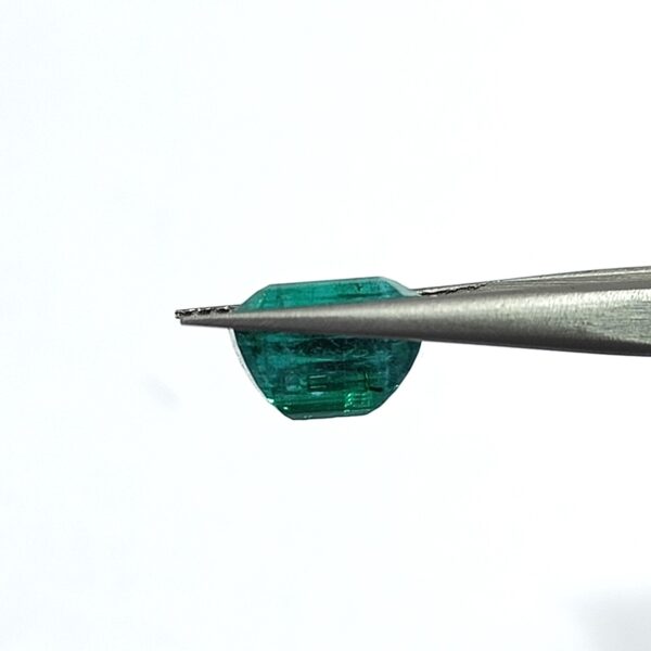 7.31 carats Emerald (8.25 ratti) - Image 4