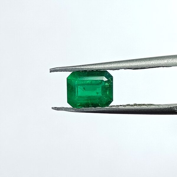 1.21 carats Emerald (1.25 ratti) - Image 1