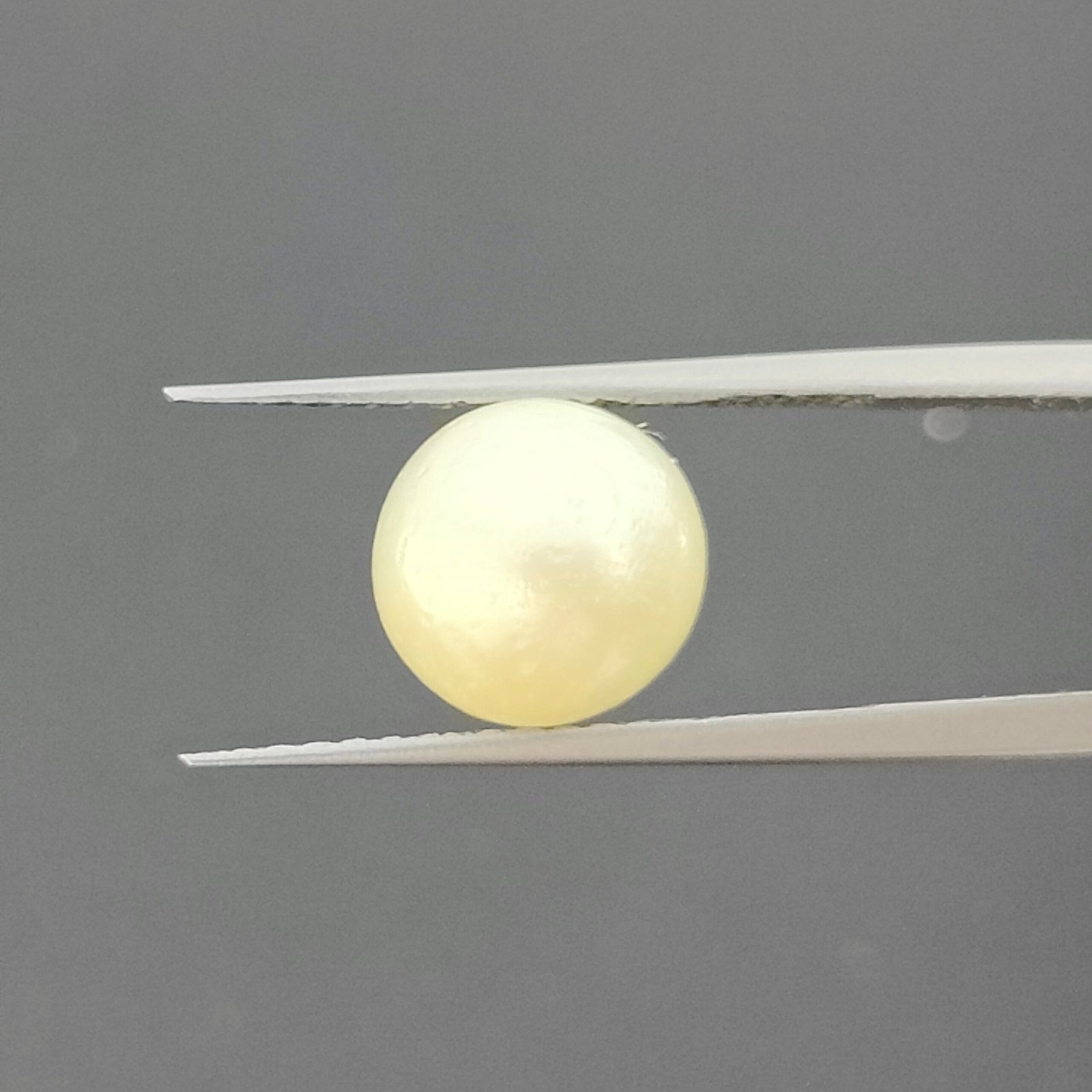 oplus_9437186 6.00 carats Pearl (6.25 ratti) - Image 1