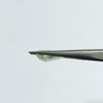 5.64 carats Pitambari ( 6.25 ratti ) - Image 5