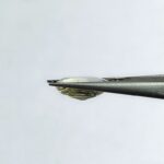 5 carats Pitambari ( 5.25 ratti ) - Image 5