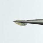4.75 carats Pitambari ( 5.25 ratti ) - Image 3