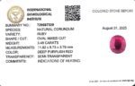 3.48 carats Ruby (3.25 ratti) - Image 8