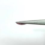6.24 carats Ruby (6.25 ratti) - Image 4