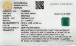 9.74 carats Emerald (10.25 ratti) - Image 6