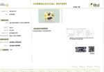 5.84 carats Yellow Sapphire ( 6.25 ratti ) - Image 9