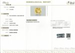 6.52 carats Yellow Sapphire ( 7.25 ratti ) - Image 8