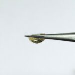 3.75 carats Yellow Sapphire ( 4.25 ratti ) - Image 5