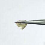 6.81 carats Yellow Sapphire ( 7.25 ratti ) - Image 4