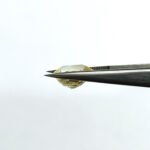 4.06 carats Yellow Sapphire ( 4.25 ratti ) - Image 4