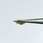 2.65 carats Yellow Sapphire ( 2.25 ratti ) - Image 4