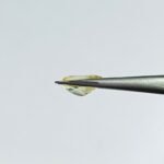 2.82 carats Yellow Sapphire ( 3.25 ratti ) - Image 4