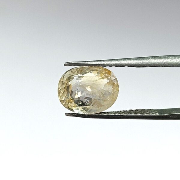 5.59 carats Yellow Sapphire ( 6.25 ratti ) - Image 1