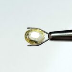4.95 carats Yellow Sapphire ( 5.25 ratti ) - Image 2