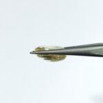 7.02 carats Yellow Sapphire ( 7.25 ratti ) - Image 4