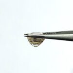 5.08 carats Yellow Sapphire ( 5.25 ratti ) - Image 4
