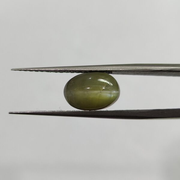 6.63 carats Chrysoberyl Cat's Eye (7.25 ratti) - Image 1