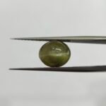 7 carats Chrysoberyl Cat's Eye (7.25 ratti)