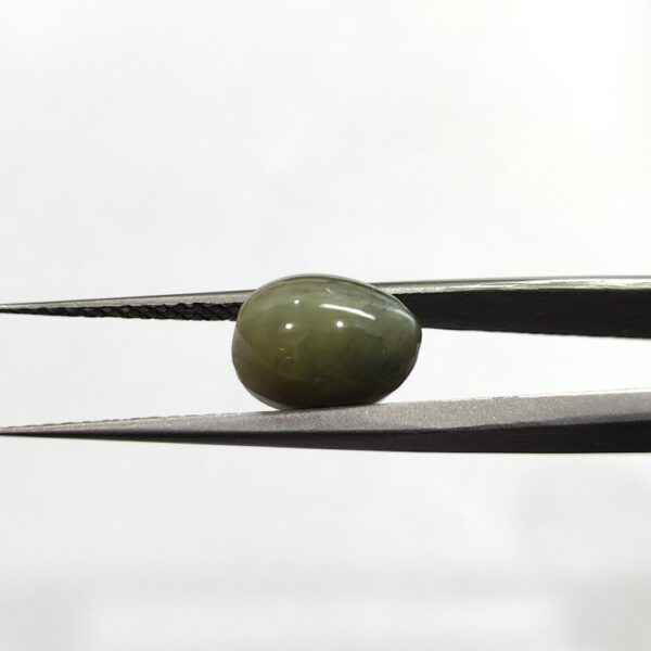 7.62 carats Chrysoberyl Cat's Eye (8.25 ratti) - Image 2