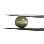 7.83 carats Chrysoberyl Cat's Eye (8.25 ratti)