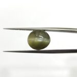 8.3 carats Chrysoberyl Cat's Eye (9.25 ratti)