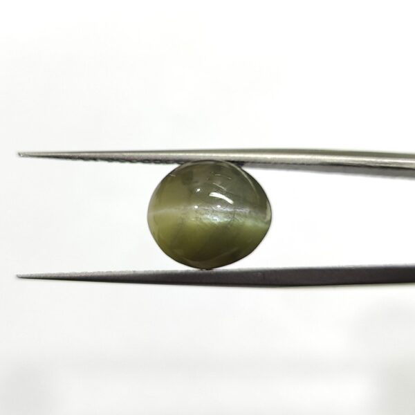 8.3 carats Chrysoberyl Cat's Eye (9.25 ratti) - Image 1