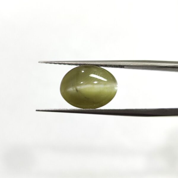 8.54 carats Chrysoberyl Cat's Eye (9.25 ratti) - Image 1